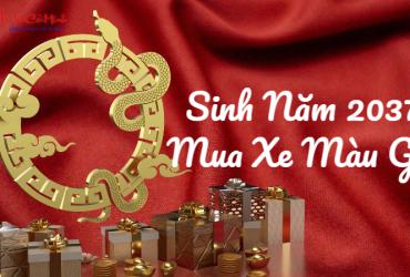 Sinh năm 2037 mua xe màu gì? Lựa chọn phong thủy tối ưu