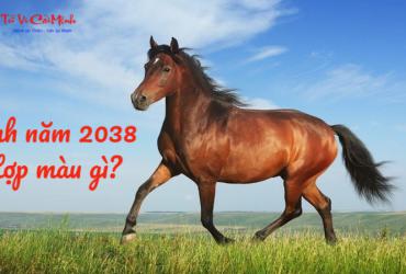 Sinh Năm 2038 Hợp Màu Gì? Chọn Màu Hợp Phong Thủy Để Gặp May Mắn