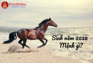 Sinh Năm 2038 Mệnh Gì? Giải Mã Thiên Thượng Hỏa và Vận Mệnh Trọn Đời