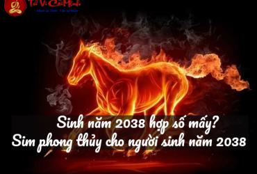 Sinh năm 2038 hợp số mấy? Sim phong thủy cho người sinh năm 2038