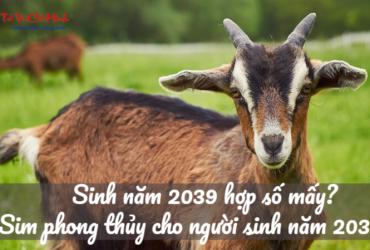 Sinh năm 2039 hợp số mấy? Sim phong thủy cho người sinh năm 2039