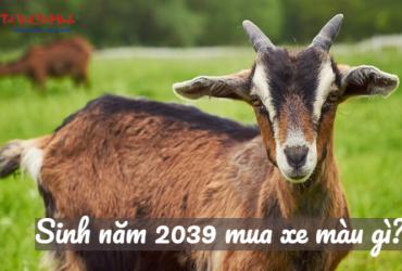 Sinh năm 2039 mua xe màu gì? Hướng dẫn chọn màu xe hợp phong thủy