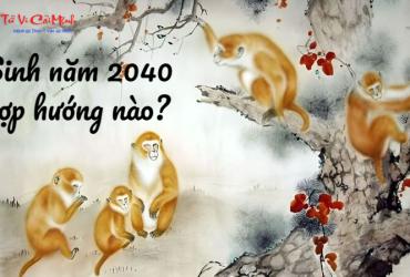 Sinh năm 2040 hợp hướng nào? Phân tích chuyên sâu theo Bát Trạch