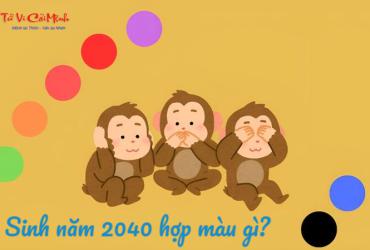 Sinh năm 2040 hợp màu gì? Bật mí những gam màu may mắn cho người tuổi Canh Thân