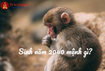 Sinh năm 2040 mệnh gì? Khám phá Thạch Lựu Mộc và vận mệnh tương lai