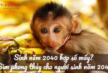 Sinh năm 2040 hợp số mấy? Sim phong thủy cho người sinh năm 2040