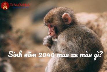 Sinh năm 2040 mua xe màu gì? Chọn màu xe hợp phong thủy cho tuổi Canh Thân