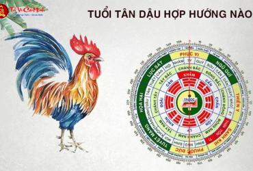 Sinh năm 2041 hợp hướng nào? Phân tích phong thủy hướng nhà, giường, bàn làm việc
