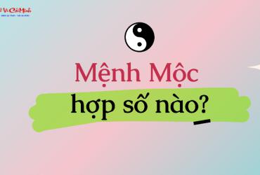 Sinh năm 2041 hợp số mấy? Sim phong thủy cho người sinh năm 2041