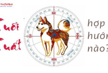 Sinh năm 2042 hợp hướng nào? Bát Trạch phong thủy toàn diện