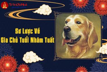 Sinh năm 2042 mệnh gì? Phân tích đầy đủ về mệnh Đại Hải Thủy