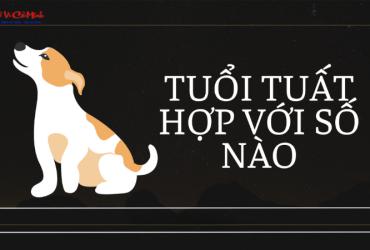 Sinh năm 2042 hợp số mấy? Sim phong thủy cho người sinh năm 2042