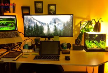 Hướng bàn làm việc cho người sinh năm 2043 hợp phong thủy, kích hoạt tài lộc