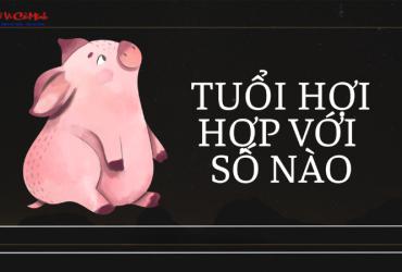 Sinh năm 2043 hợp số mấy? Sim phong thủy cho người sinh năm 2043