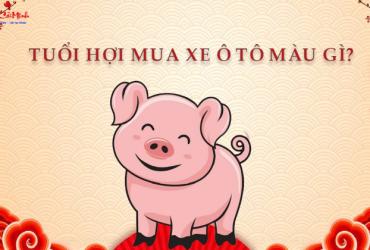 Sinh năm 2043 mua xe màu gì? Hướng dẫn chọn màu xe hợp phong thủy