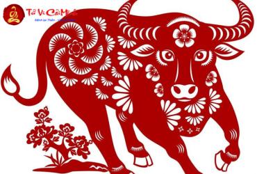 Sinh năm 2045 hợp số mấy? Sim phong thủy cho người sinh năm 2045