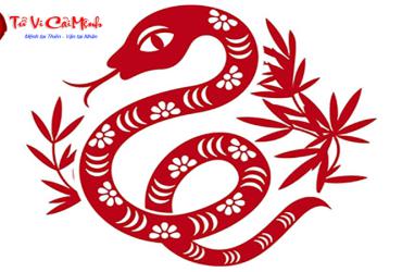 Sinh năm 2049 hợp hướng nào? Phân tích toàn diện theo phong thủy Bát Trạch