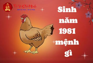 Sinh năm 1981 mệnh gì? Khám phá đầy đủ về Tuổi Tân Dậu