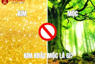 Kim Khắc Mộc - Quy Luật Tương Khắc Đầu Tiên Trong Ngũ Hành