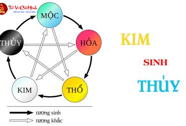 Kim Sinh Thủy - Quy Luật Tương Sinh Ngũ Hành Cơ Bản