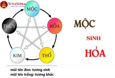 Mộc Sinh Hỏa - Quy Luật Tương Sinh Mạnh Mẽ Trong Phong Thủy