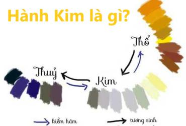 Khám Phá Ngũ Hành Kim: Bí Ẩn Sức Mạnh Ảnh Hưởng Đến Cuộc Sống Của Bạn