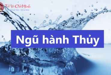 Ngũ Hành Thủy Là Gì? Bí Quyết Phong Thủy Giúp Đời Sống Uyển Chuyển