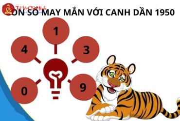 Sinh năm 1950: Con Số May Mắn và Bí Quyết Chọn Sim Phong Thủy Giúp Bạn Thu Hút Tài Lộc