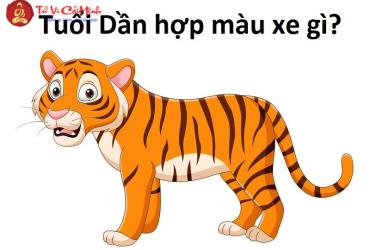 Sinh năm 1950 mua xe màu gì? Bí quyết chọn màu xe hợp phong thủy cho tuổi Canh Dần