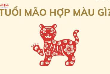 Sinh năm 1951 hợp màu gì? Hướng dẫn chọn màu theo phong thủy Tân Mão