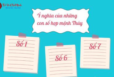 Khám Phá Con Số May Mắn Cho Tuổi Nhâm Thìn 1952 – Bí Quyết Chọn Sim Phong Thủy Chuẩn