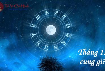 Tháng 12 Cung Gì? Nhân Mã Và Ma Kết Khác Biệt Ra Sao