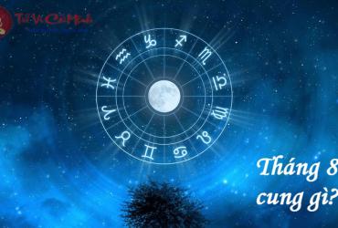 Tháng 8 Cung Gì? Sư Tử Và Xử Nữ Trong Chiêm Tinh