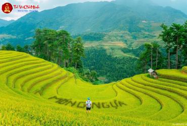 Thế Đất Kết Phát Trong Âm Trạch: Bí Quyết Phong Thủy Mộ Phần Đem Lại Thịnh Vượng