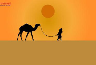 Tranh Lạc Đà: Biểu Tượng Bền Bỉ Và Thịnh Vượng Trong Phong Thủy