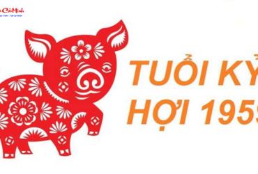 Tuổi Xông Đất Cho Gia Chủ Sinh Năm 1959 (Kỷ Hợi): Bí Quyết Chọn Người Mang Lại Thịnh Vượng