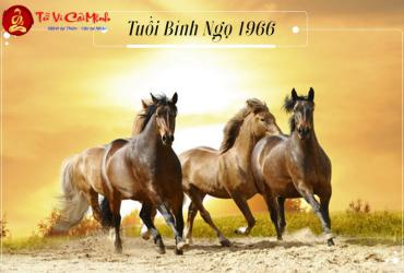 Tuổi Xông Đất Cho Gia Chủ Sinh Năm 1966 (Bính Ngọ): Hướng Dẫn Chọn Người Xông Hợp Mệnh Thiên Hà Thủy