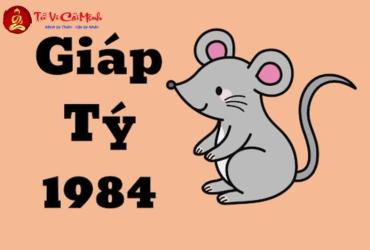 Tuổi Xông Đất Cho Gia Chủ Sinh Năm 1984 (Giáp Tý): Chọn Người Hợp Mệnh Kim