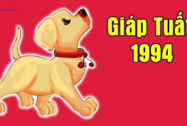 Tuổi Xông Đất Cho Gia Chủ Sinh Năm 1994 (Giáp Tuất)