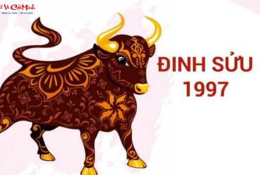 Tuổi Xông Đất Cho Gia Chủ Sinh Năm 1997: Hướng Dẫn Chọn Người May Mắn Cho Đinh Sửu