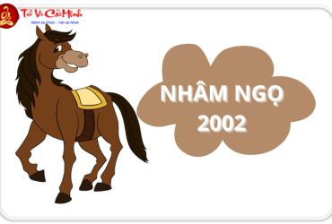 Tuổi Xông Đất Cho Gia Chủ Sinh Năm 2002 (Nhâm Ngọ): Hướng Dẫn Chọn Người Xông Hợp Mệnh Dương Liễu Mộc