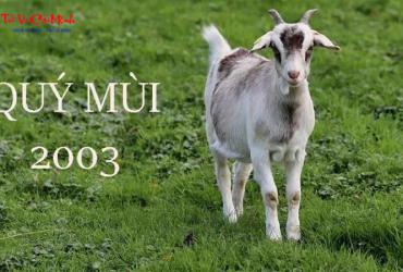 Tuổi Xông Đất Cho Gia Chủ Sinh Năm 2003 (Quý Mùi): Chọn Người Phù Hợp Theo Phong Thủy