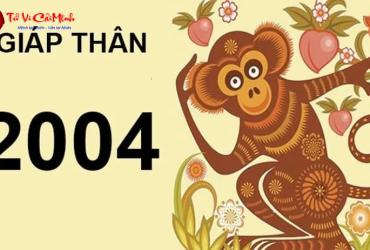 Tuổi Xông Đất Cho Gia Chủ Sinh Năm 2004 (Giáp Thân): Chọn Hợp Mệnh Thủy