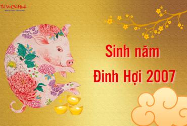 Tuổi Xông Đất Cho Gia Chủ Sinh Năm 2007 (Đinh Hợi): Bí Quyết Chọn Người Mang Lại Ổn Định