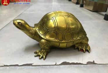 Tượng Rùa - Linh Vật Phong Thủy Mang Lại Trường Thọ Và Bình An