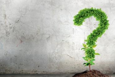 Việc đặt cây xanh trong nhà là rất tốt, nhưng liệu bạn có thực sự chọn nó?