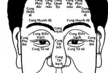 Xem Tướng 12 Cung Trên Khuôn Mặt