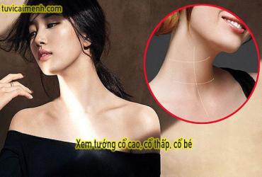 Xem Tướng Cổ Nam Nữ - Cổ Cao, Thấp, Ngắn, Dài, Về Tài Vận, Sức Khỏe