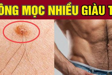 May mắn cho ai có lông mọc nhiều những chỗ này, cả đời sung túc, giàu sang