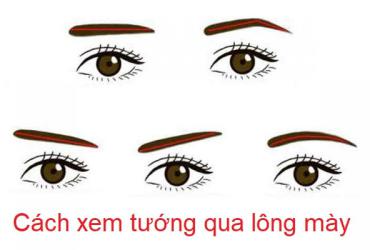 Những Tướng Lông Mày Đẹp Ở Nam Và Nữ